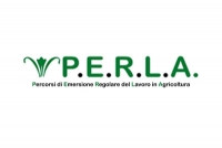 Workshop territoriali, a breve si comincia