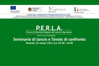 Seminario di lancio del progetto P.E.R.L.A.